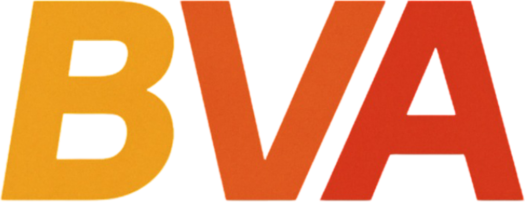 BVA B2B